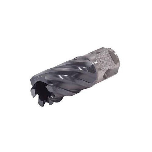 Walter 05F311 Icecut 11/16x2in annular core cutter, grey HSS body, 6 helical flutes, pilot pin slot, universal shank