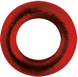O-Ring