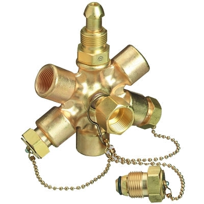 Manifold Block Assembly, 3000 psig, Brass