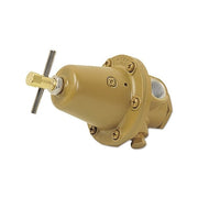 Western Enterprises WMR-2-2 line regulator brass body with T-handle adjustment and side outlet NPT port
