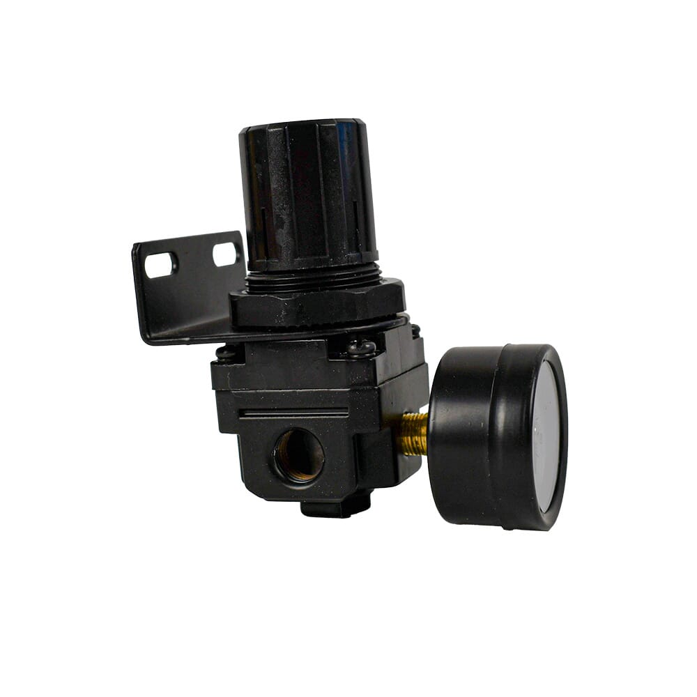 Mini Regulator, 1/4 in NPT