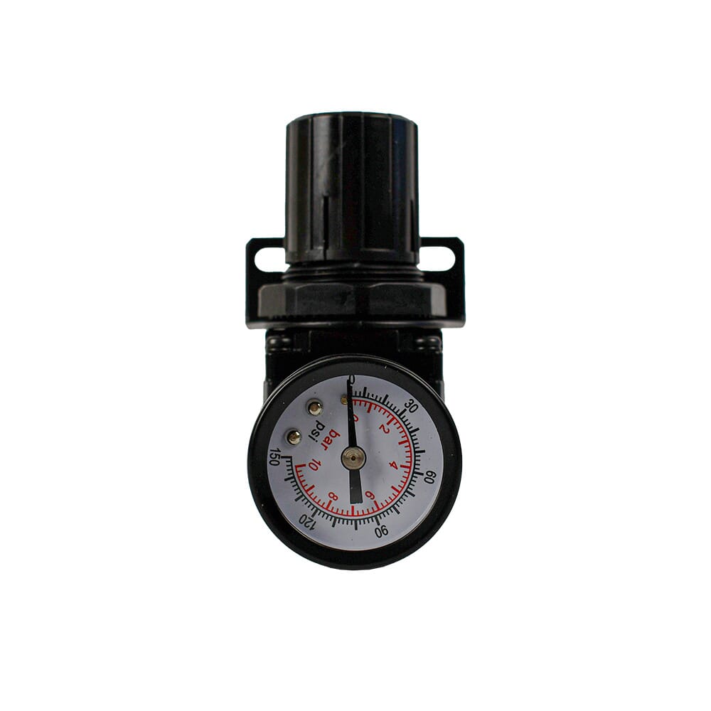 Mini Regulator, 1/4 in NPT