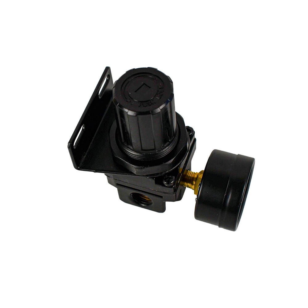 Mini Regulator, 1/4 in NPT