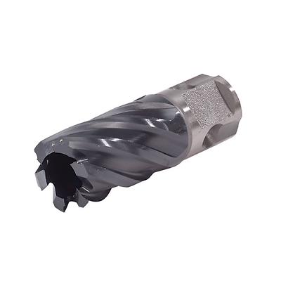 Walter 05F012 Icecut 3/4x1in annular core cutter, grey HSS body, 6 helical flutes, pilot pin slot, universal shank