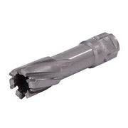 Walter 05H102 Carbide Core Cut 1-1/8x1in annular cutter, silver steel, 6 straight flutes, brazed carbide teeth, hex shank