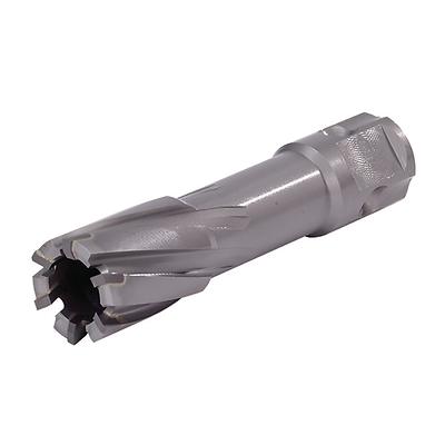 Walter 05H011 Carbide Core Cut 11/16x1in annular cutter, silver steel, 6 straight flutes, brazed carbide teeth, hex shank